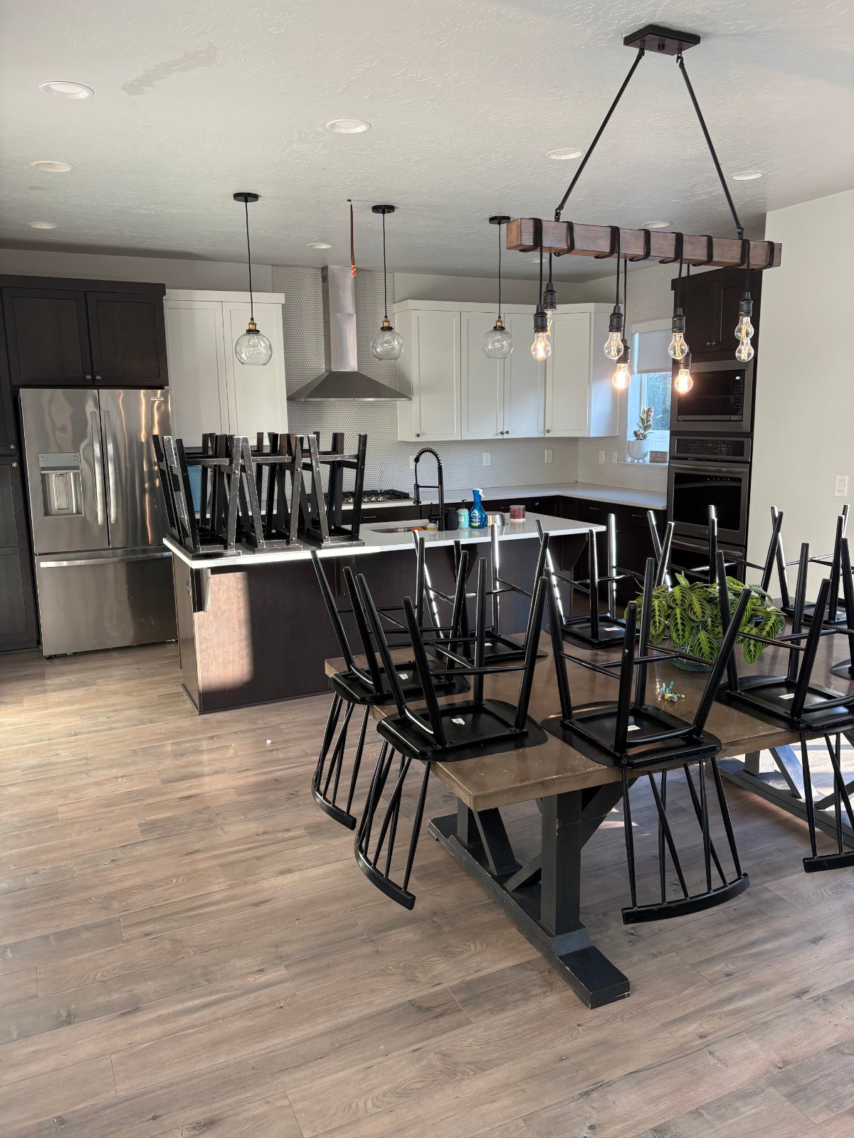 Lucy cleaned my kitchen from top to bottom, and it was cleaner than I've seen it in months.  - Zachary Ryan